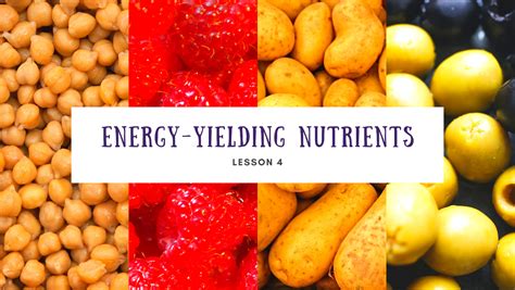 nutrition what are the 4 energy suppliers